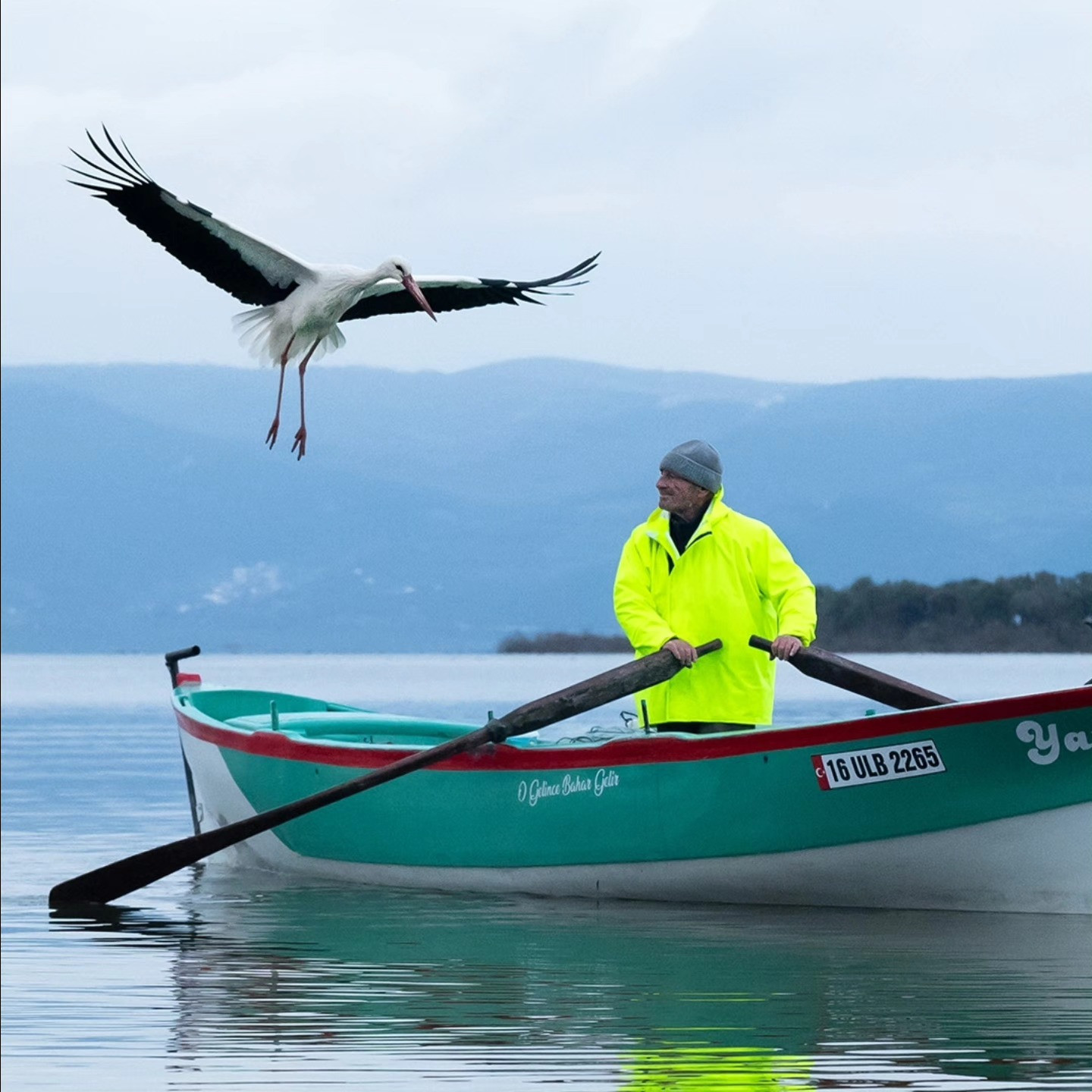 15 yıllık vefa! Yaren Leylek yine geldi: İlk durağı değişmedi.