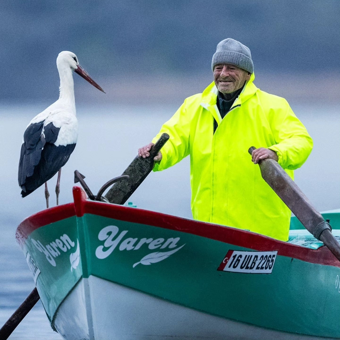 15 yıllık vefa! Yaren Leylek yine geldi: İlk durağı değişmedi.