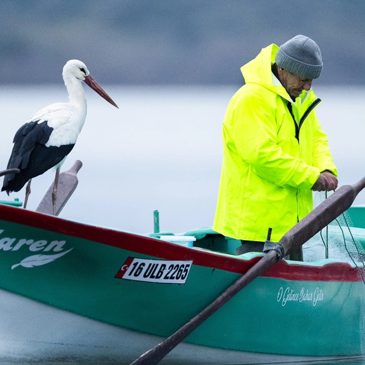 15 yıllık vefa! Yaren Leylek yine geldi: İlk durağı değişmedi.