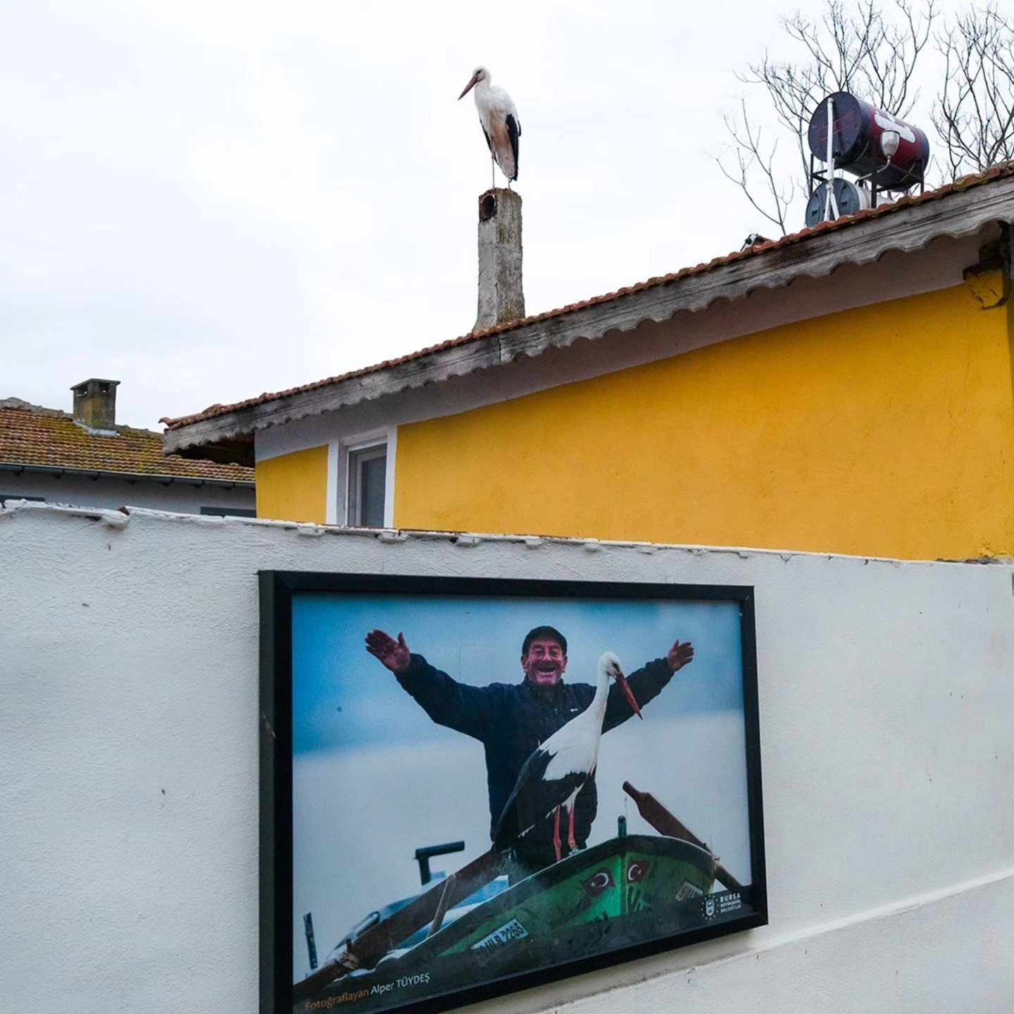 15 yıllık vefa! Yaren Leylek yine geldi: İlk durağı değişmedi.