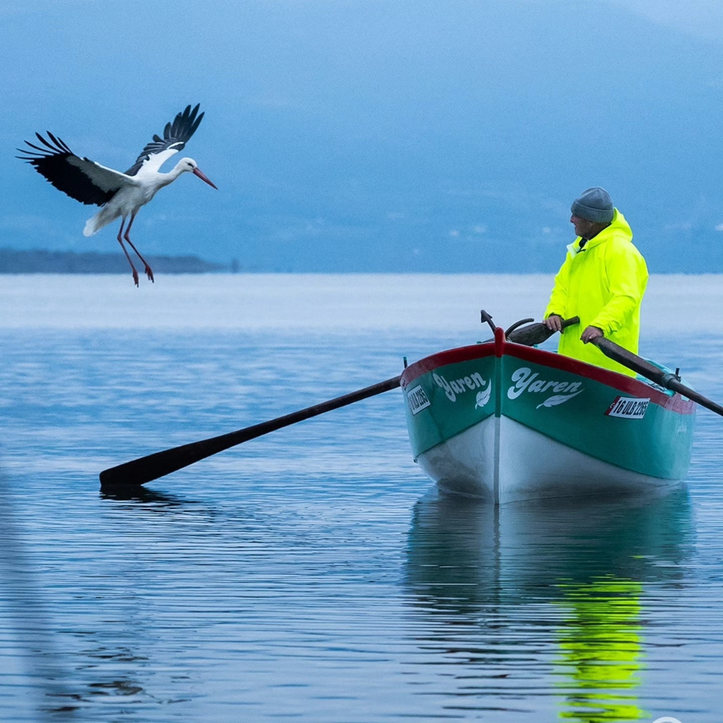 15 yıllık vefa! Yaren Leylek yine geldi: İlk durağı değişmedi.