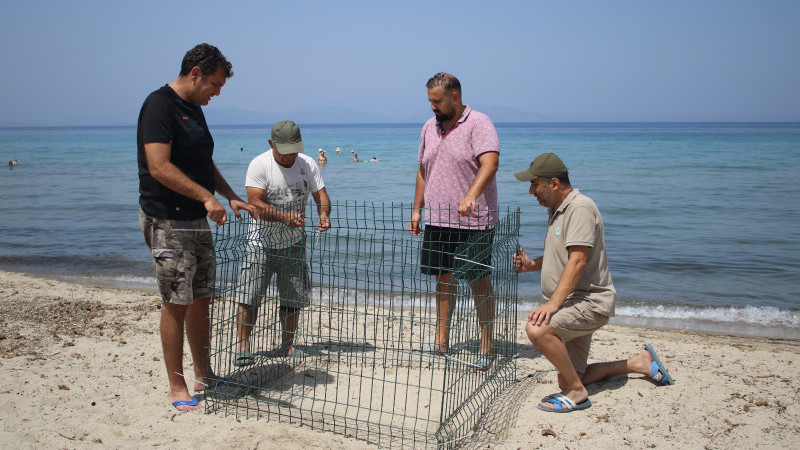 KUŞADASI CARETTA CARETTALARIN YUVASI OLDU