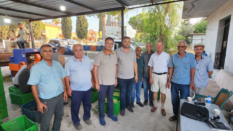 Didim Ziraat Odası'ndan zeytin alımı açıklaması