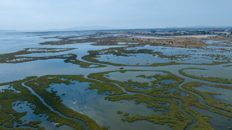 Gediz Deltası 'doğayla uyumlu' bir şekilde restore ediliyor