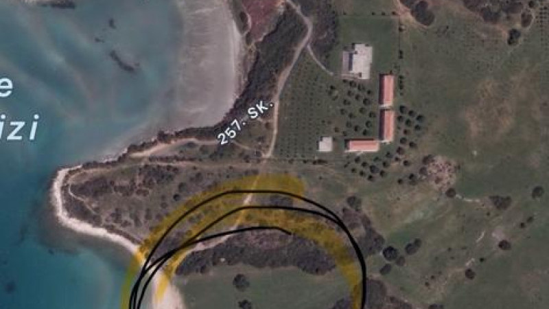 Yusuf Mehmet Sarışın: Ağaç kıyımı var, ihbar ediyorum