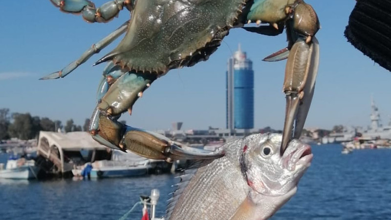 Bu fotoğrafın müthiş bir hikayesi var