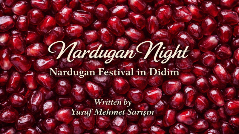 NARDUGAN NIGHT: WHEN THE SUN REMEMBERS HUMANITY