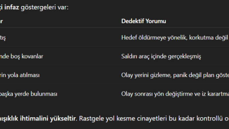 Profesyonel detektif bakış açısıyla Didim'deki sır dolu cinayet!