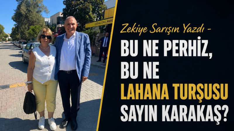 Vatandaş oy verdiği milletvekiline nasıl güvenecek?