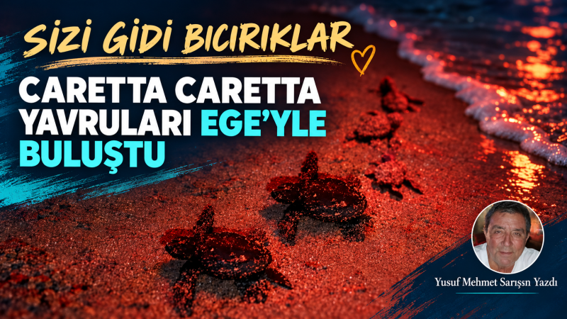 CARETTA CARETTA YAVRULARI EGE’YLE BULUŞTU