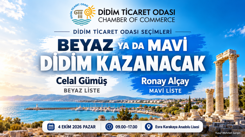 HAYDİ SANDIK BAŞINA - BEYAZ YA DA MAVİ… KAZANAN DİDİM OLSUN!